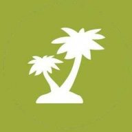 palmtree